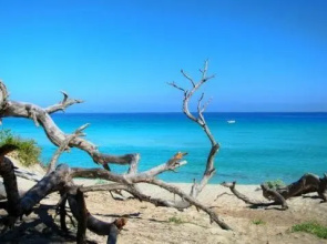 Sognu di Mare - Plage et piscine sur place