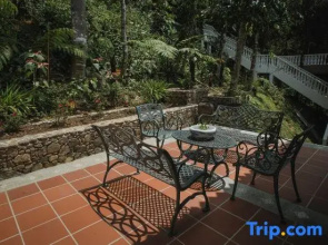 Kebun Rimba Janda Baik