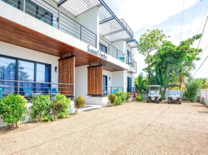 Oceanfront Sunset Gecko Condo - Second Floor 2A