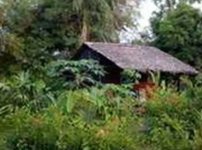 Rio Mar Bahía Solano Choco Colombia