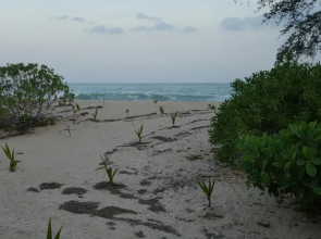 Medilla island resort