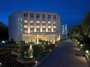 Marigold by Greenpark