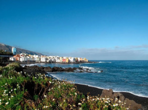 Apartamentos Florida