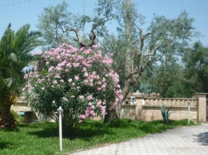 Villa Relax