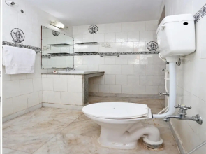 Village Inn By OYO Rooms