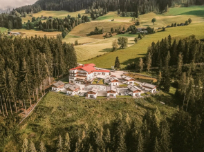 House Waldkauz Werfenweng