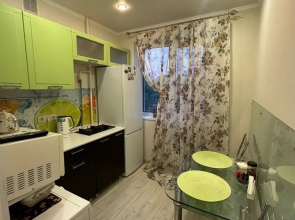 Apartments on Kosmonavtov street 14/2