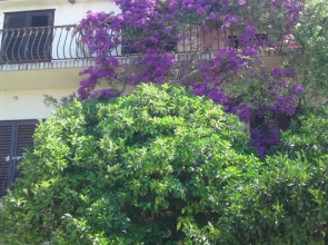 Apartments Raos Podgora