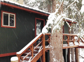 Treehouse by the Stream