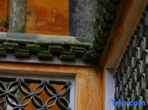 Tiantai Shanqing Homestay