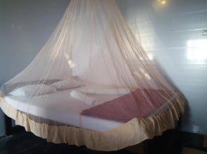 Paradise Guest House