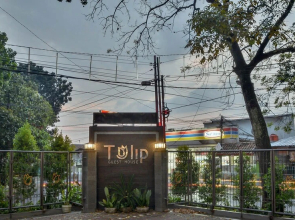 Tulip Guest House