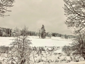 App 622 Panoramic Hohegeiß mit WLan Terrassenhaus