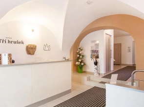 Suites & Apartments U Trí hrusek