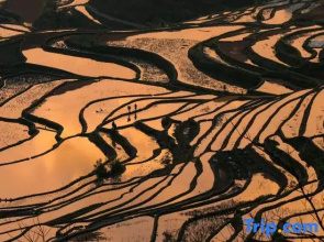 Yuan Yang Yin Xin · Valley Resort and Viewing Homestay for Mountain and Stream Tracing