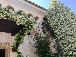 Garden Village Hotel