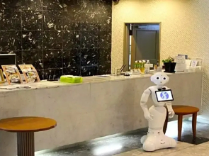 Seagrande Shimizu Station Hotel / Vacation STAY 8213