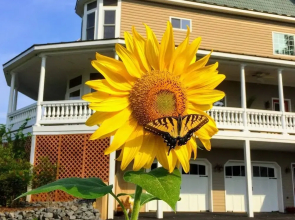 Skyline Vineyard Inn