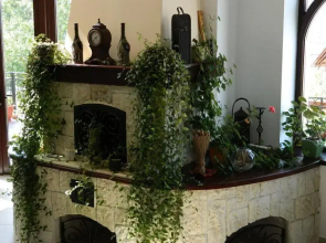 Pensiunea Ego Residence