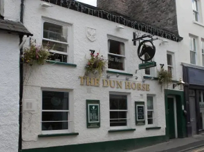 Dun Horse