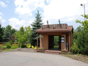 The Bear House