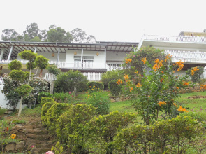 Villa Perpetua