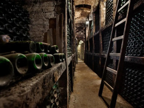 Rioja & Vino