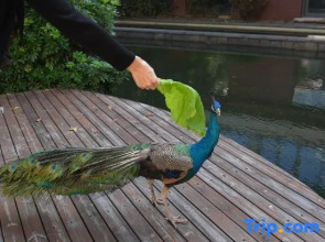 Wyndham Fuzhou Guian