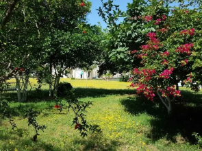 Saint Francis Bed & Breakfast