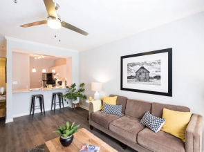 Hope St Downtown Luxury Rentals