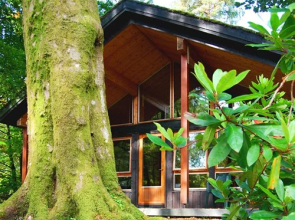 Langdale, Cumbria, England