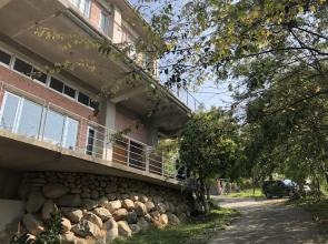 Between Trees BnB
