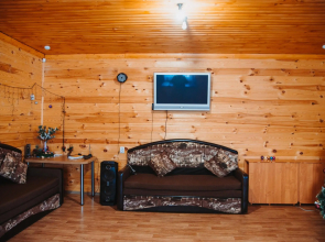 Dacha na lesnoi