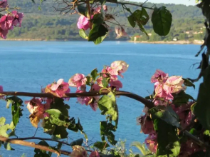 Apartments Janja - terrace sea view