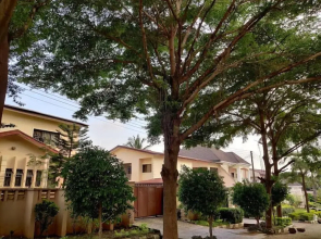 Apex Hotel And Suites