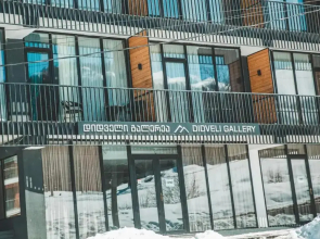 Didveli Gallery Apartment B_401 / დიდველი გალერეა აპარტამენტი B_401