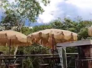 Pousada Canto da Lua -  Macacos