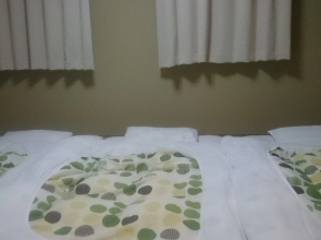 Business Hotel Hayashiso