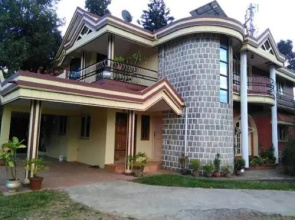 Tripthrill Green Cove 1