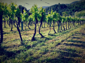 Agriturismo Magic Moments