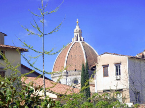 Florence Nice Flat
