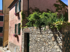 Montemarcello View