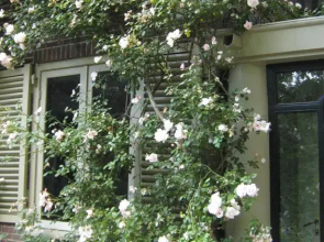 B&B Bohémien