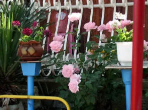 Smile Bungalow