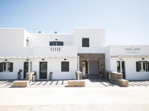 SilvAir I by Silvernoses, Mykonos
