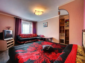 U Ledovogo Dvortsa Apartments