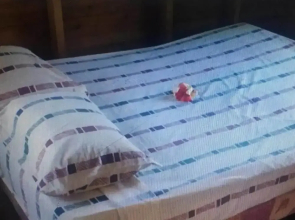 Sunrise Lagoon Homestay