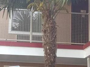 Express Inn & Suites