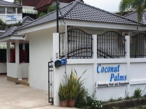 Coconut Palms