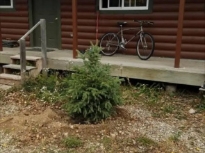 Arrowhead Cabins of Grand Lake